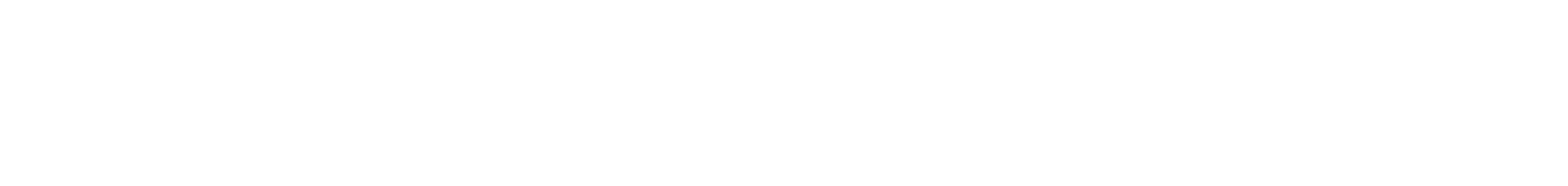 logo light